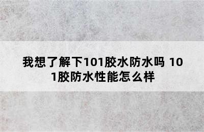 我想了解下101胶水防水吗 101胶防水性能怎么样